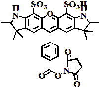 AF532 琥珀酰亞胺酯